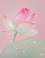The Lotus House
