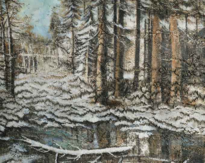 First snow of the forest
