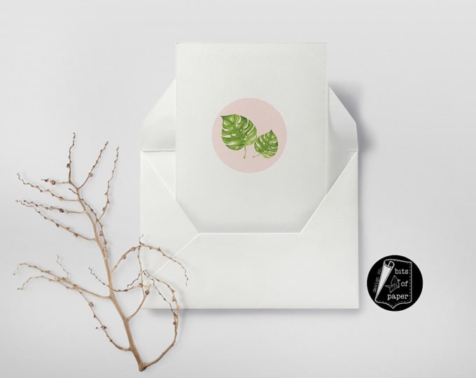 Blank Monstera Card