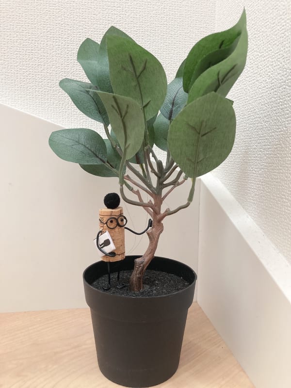 Cork and Planters