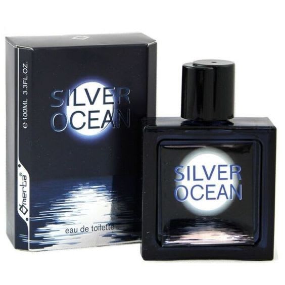 Silver ocean