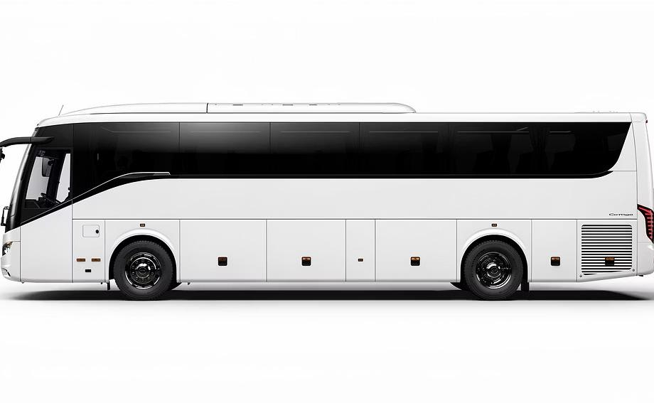 Coach