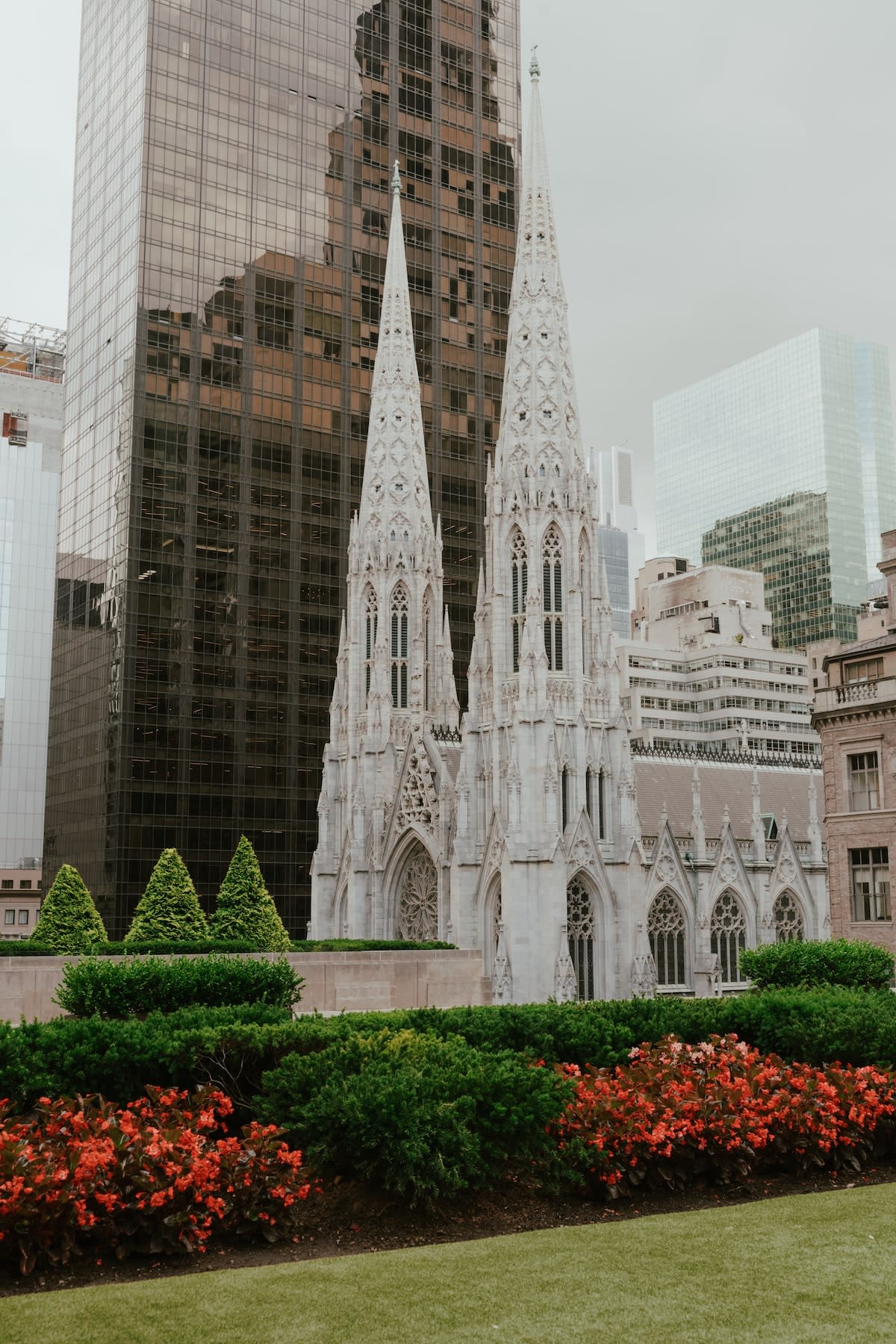Gothic-style cathedral with two spires, surrounded by skyscrapers, red flowers, and green bushes.