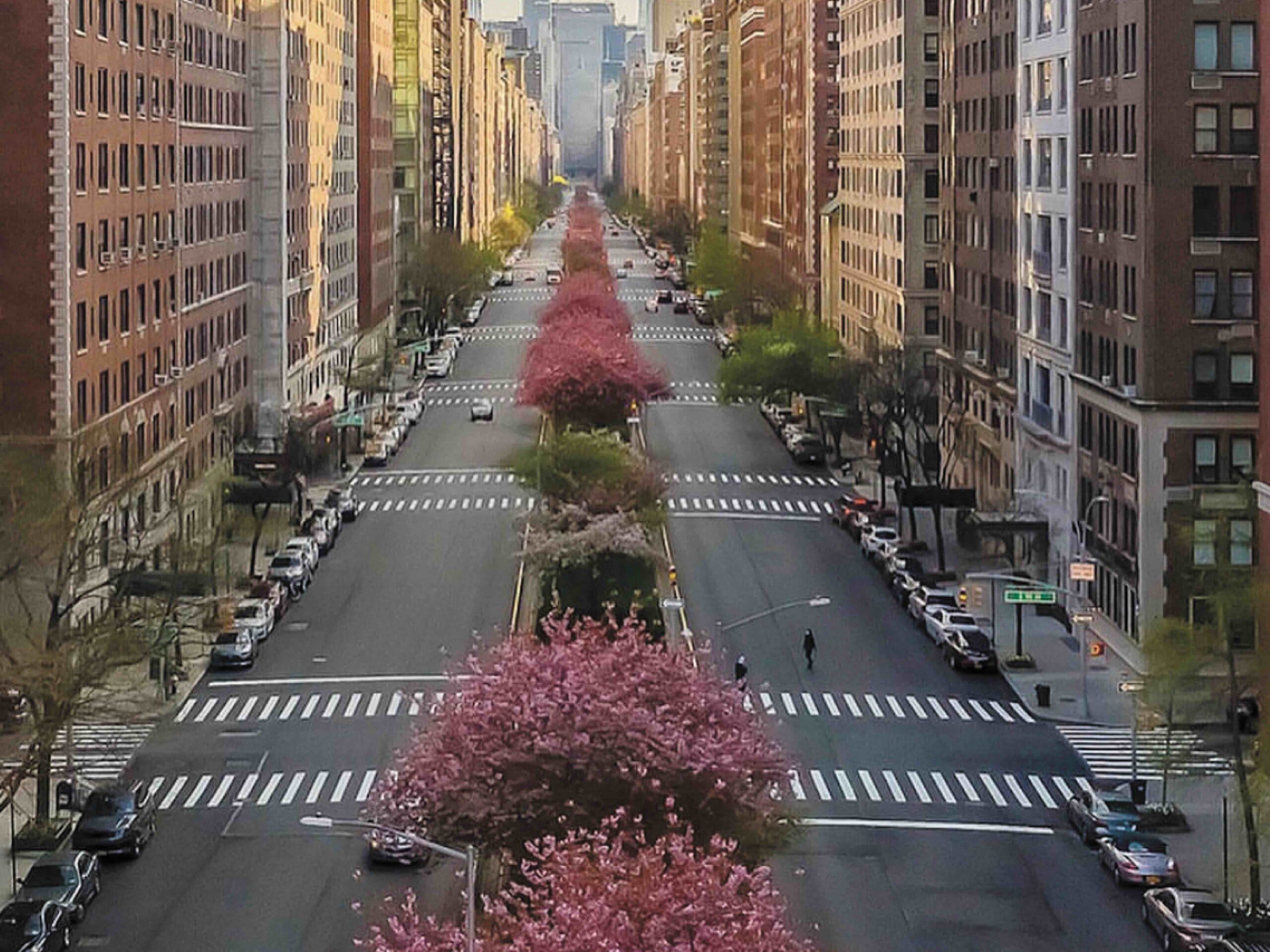 fundForParkAvenue_sourceUrl_splashBackground-2-4-edited-scaled_kc6ose