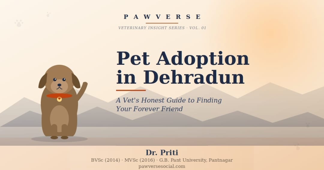 Pet Adoption in Dehradun: A Vet's Honest Guide to Finding Your Forever Friend