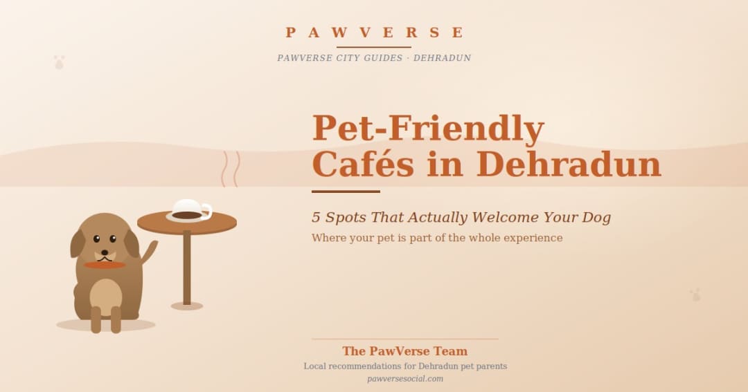 Pet-Friendly Cafés & Restaurants in Dehradun