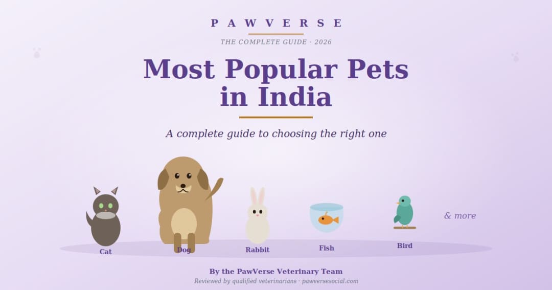 Most Popular Pets in India (2026): A Complete Guide to Choosing the Right One