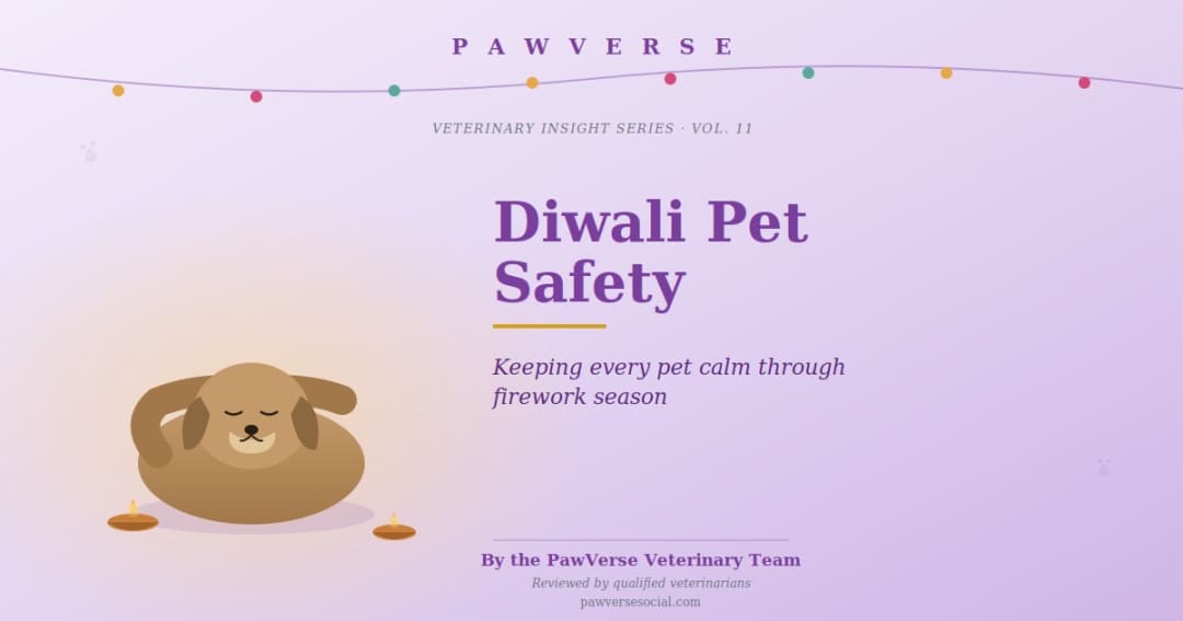 Diwali Pet Safety: Keeping Dogs, Cats and All Pets Calm Through Firework Season
