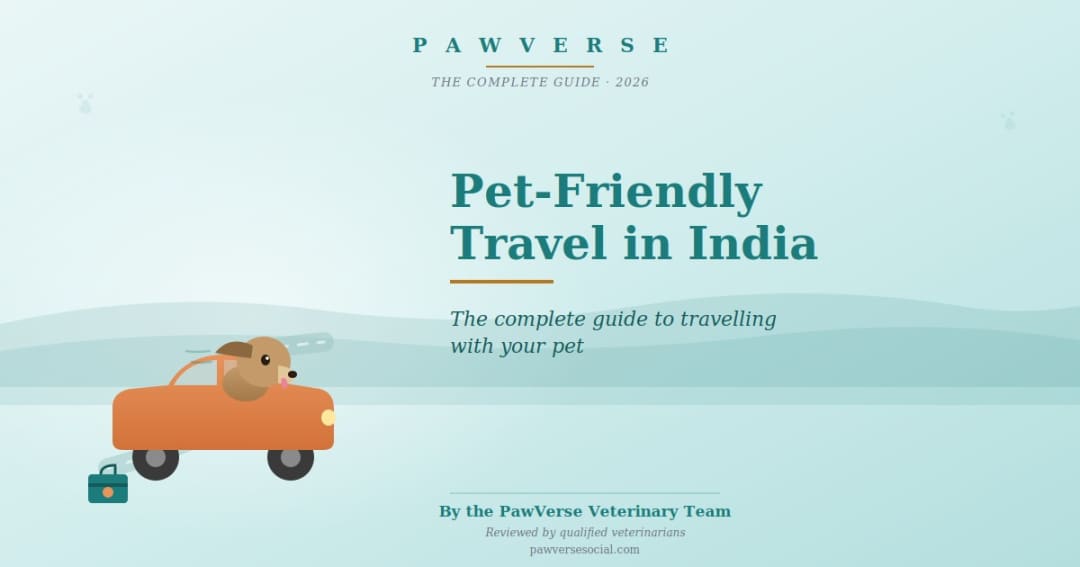 Pet-Friendly Travel in India: The Complete Guide to Travelling With Your Pet