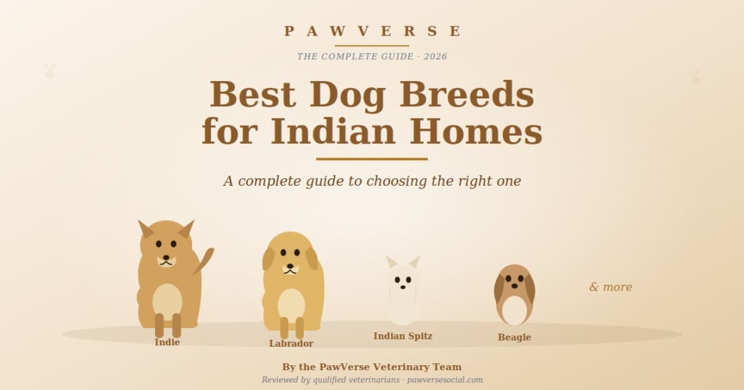 Best Dog Breeds for Indian Homes: A Complete Guide to Choosing the Right One