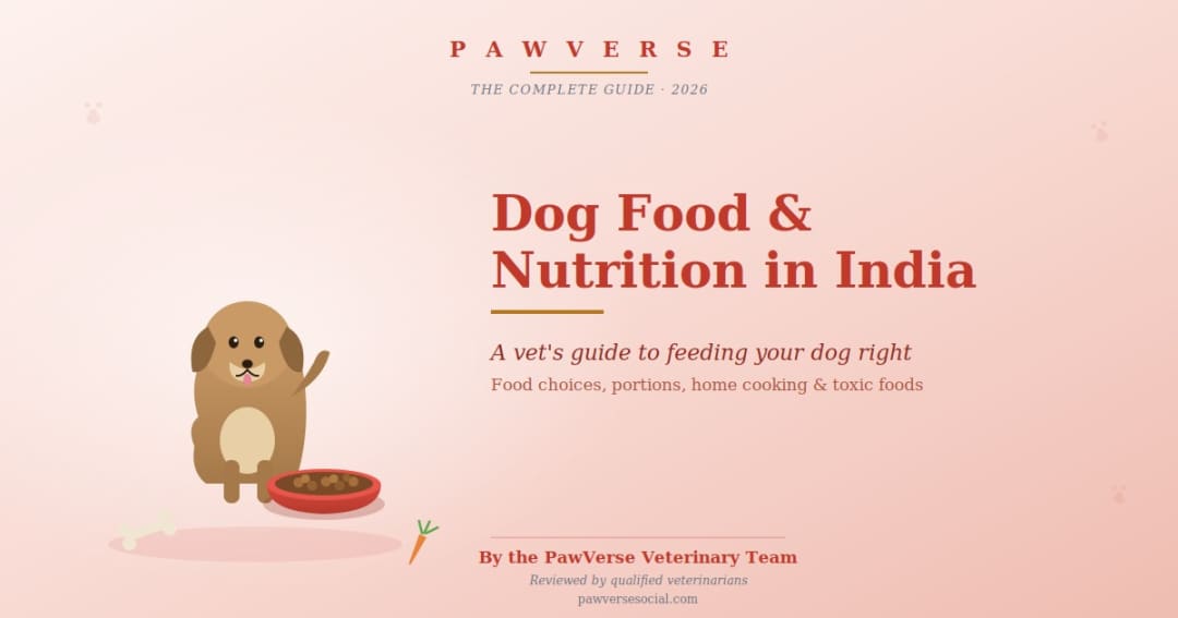 Dog Food and Nutrition in India: A Complete Vet's Guide to Feeding Your Dog Right