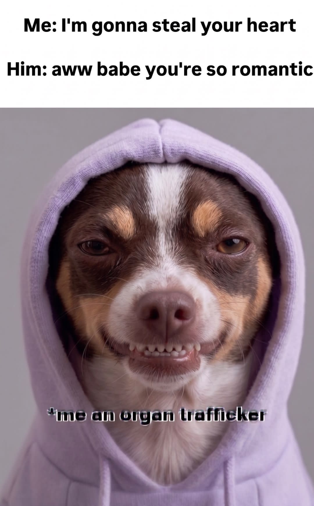 Post by Dollar on PawVerse