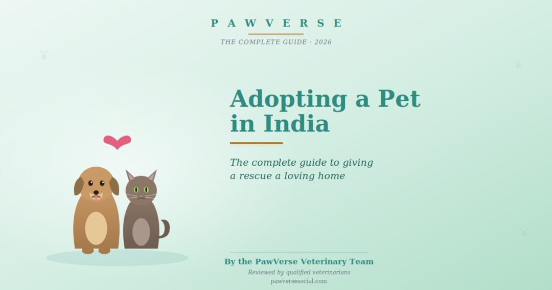 Adopting a Pet in India: The Complete Guide to Giving a Pet a Home