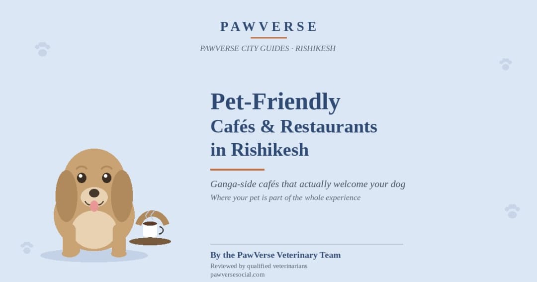 Pet-Friendly Cafés & Restaurants in Rishikesh