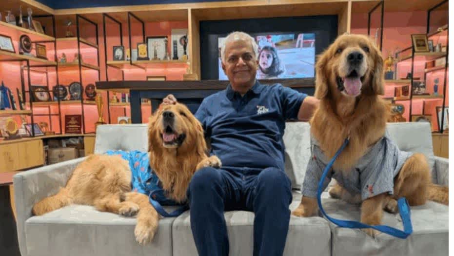 Post by Dollar on PawVerse