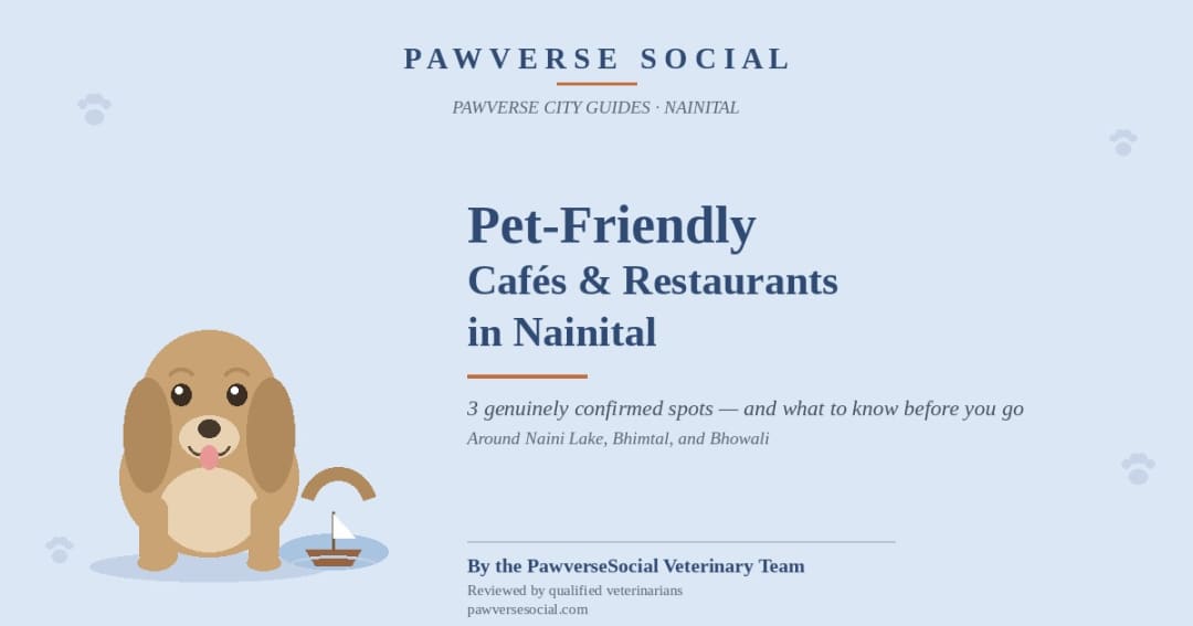 Pet-Friendly Cafés & Restaurants in Nainital
