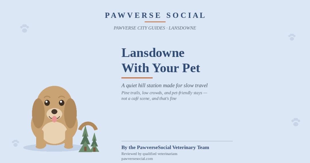 Lansdowne With Your Pet: A Quiet Hill Station Made for Slow Travel