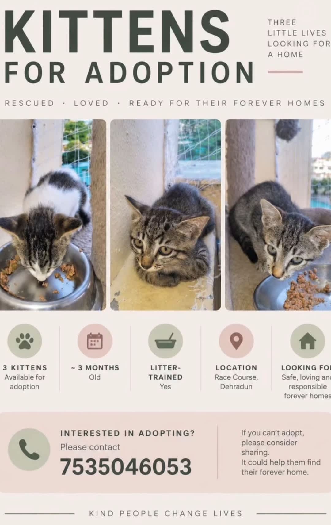Post by Dollar on PawVerse