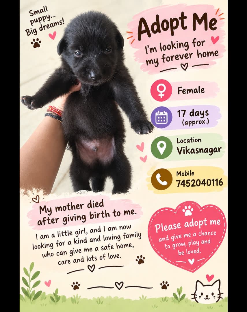 Post by Anushka thapa on PawVerse