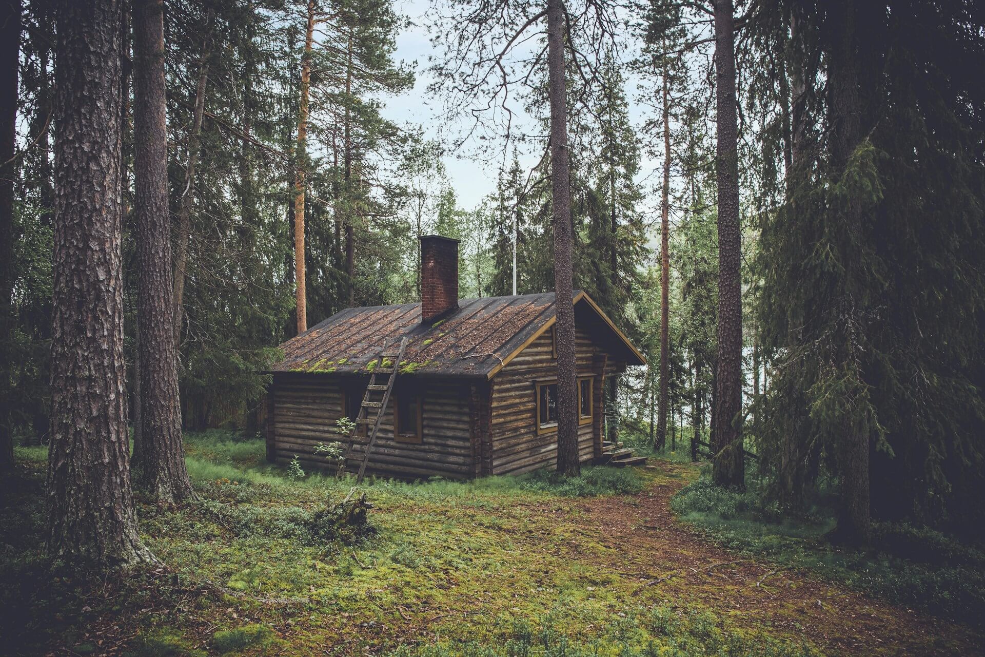 Browse Cabins listings and discover your perfect small home