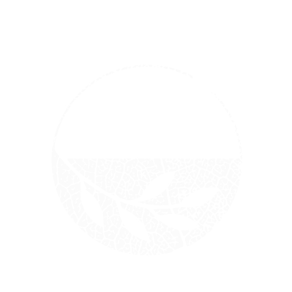 INN Behavioral Logo