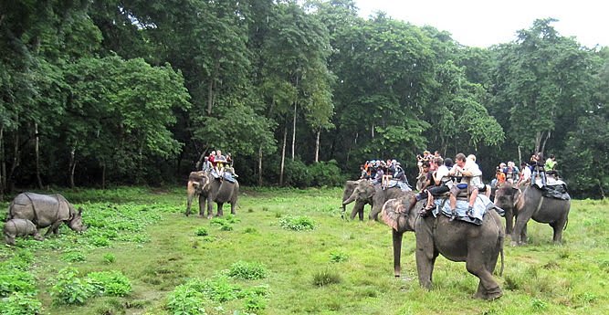 Wildlife landscape in a subtropical reserve