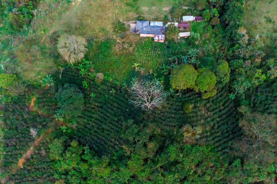 Vista aérea de la Finca El Descanso en Amalfi, Antioquia, Colombia — origen del café de especialidad Rastrojero a 1550 msnm