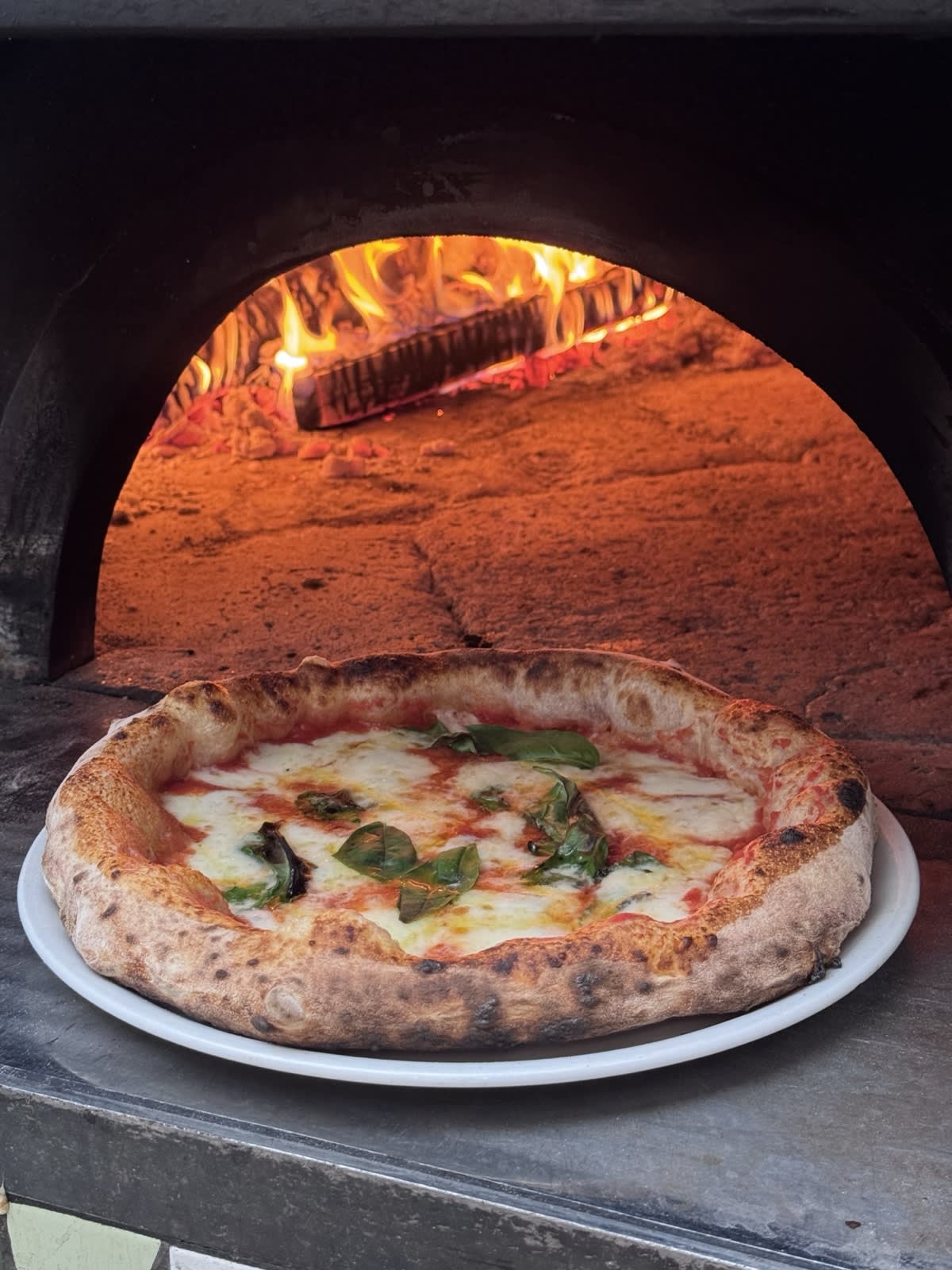 Margherita d'autore. — Pizz'Art Caserta