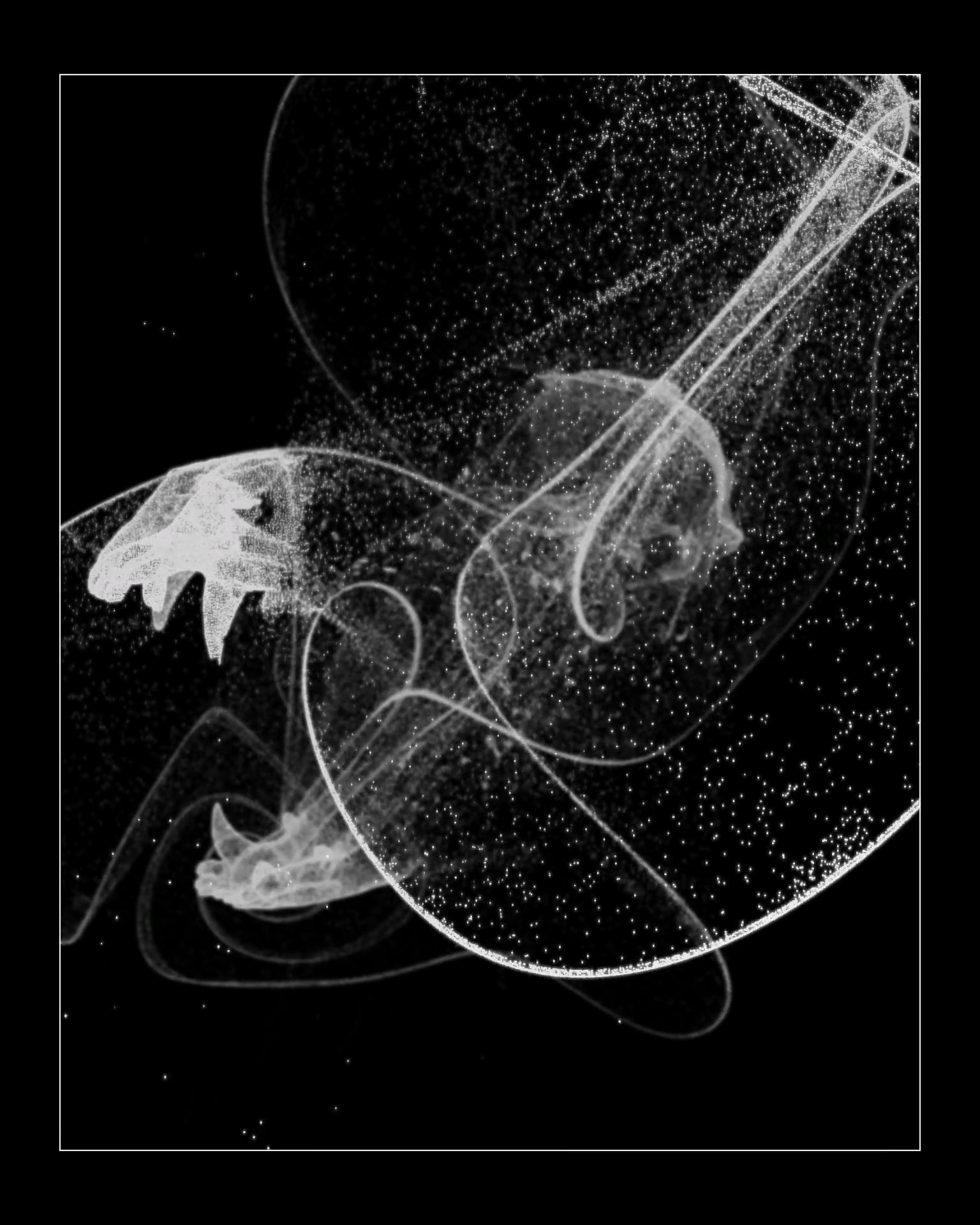 Aponoesis 4