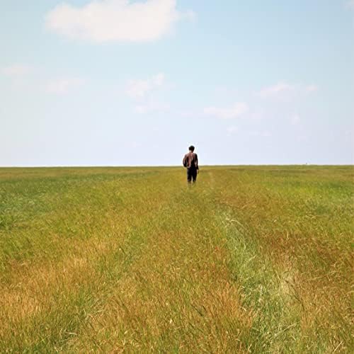 Vue 4 de La Maison Du Barbier