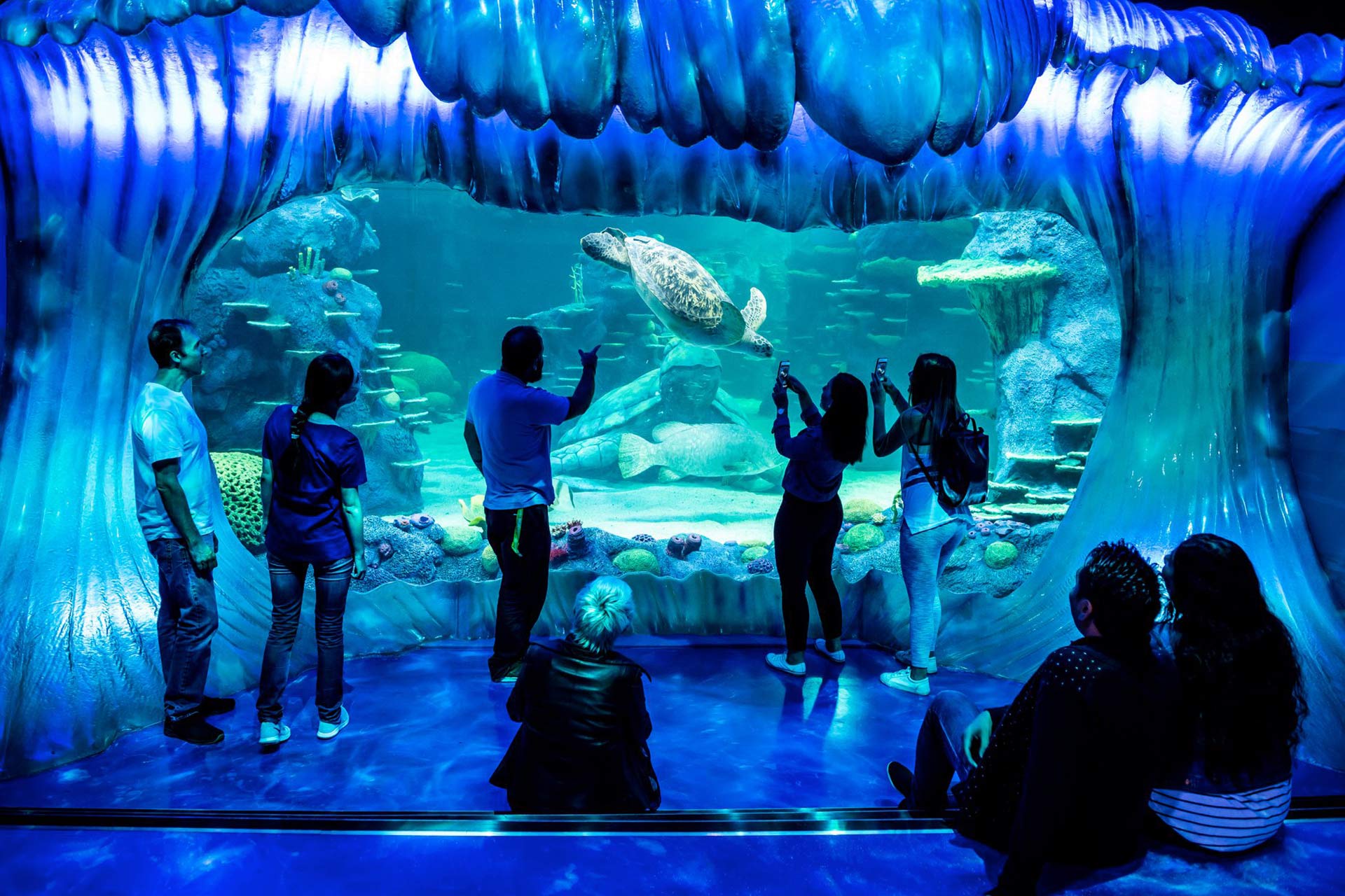 Sydney aquarium Best Places to Visit in Sydney