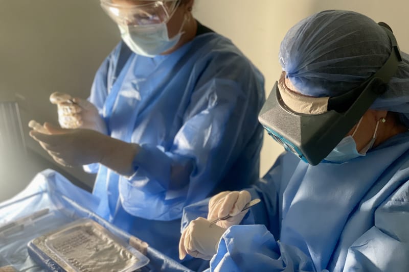 Colombia Care surgical team preparing and sorting follicular unit grafts during a hair transplant in Medellín