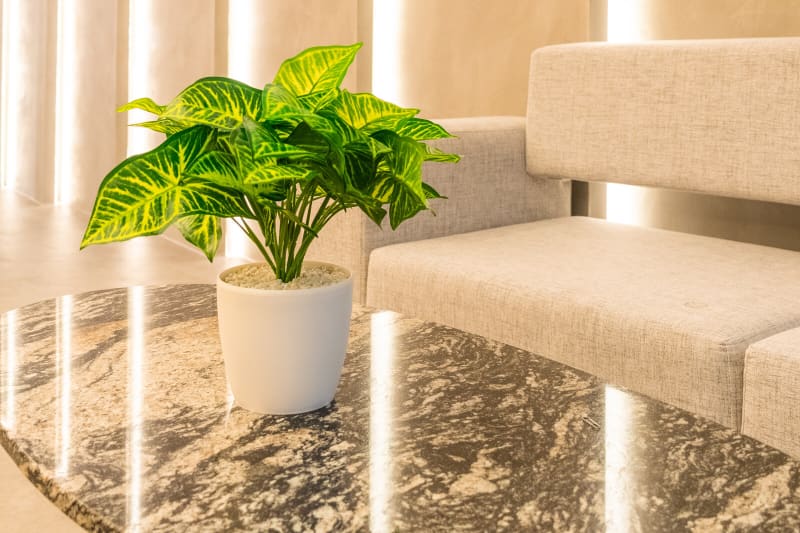 Reception of the Colombia Care hair restoration clinic in Medellín, with its marble counter