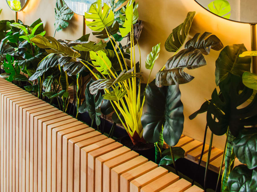 Pasillo de pacientes con plantas y luz cálida