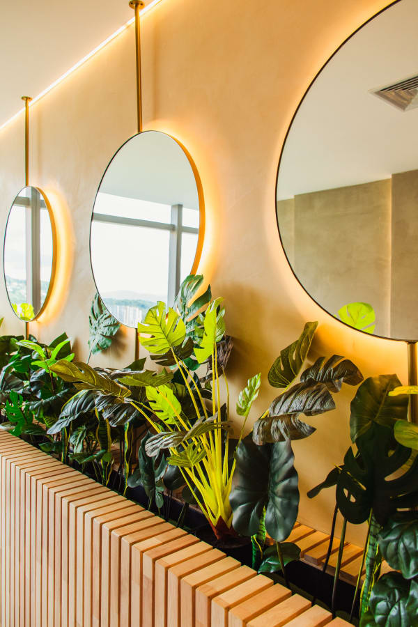 A warmly lit corner of the Colombia Care clinic with plants and natural materials
