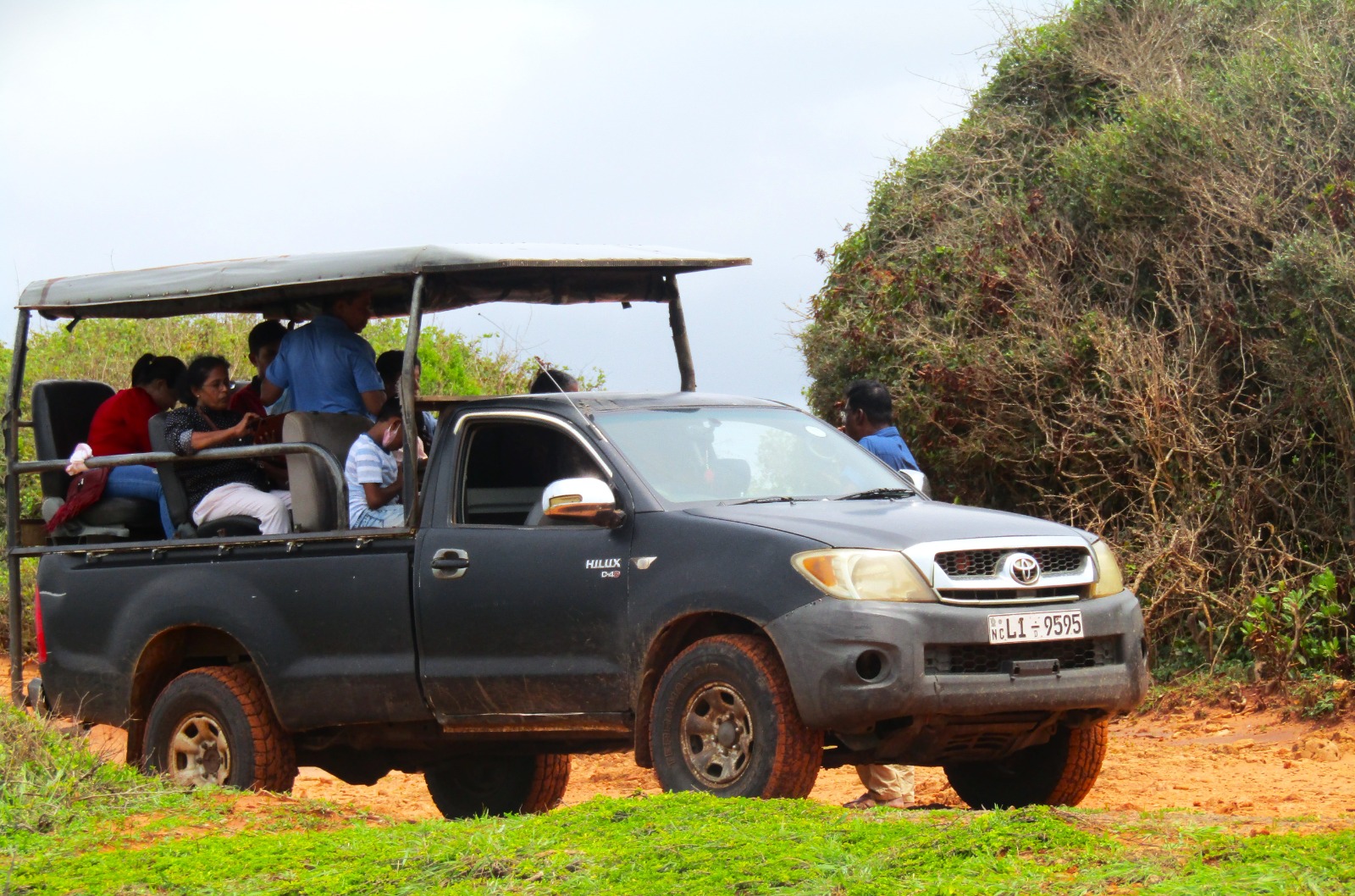 Evening Wilpattu Jeep Safari