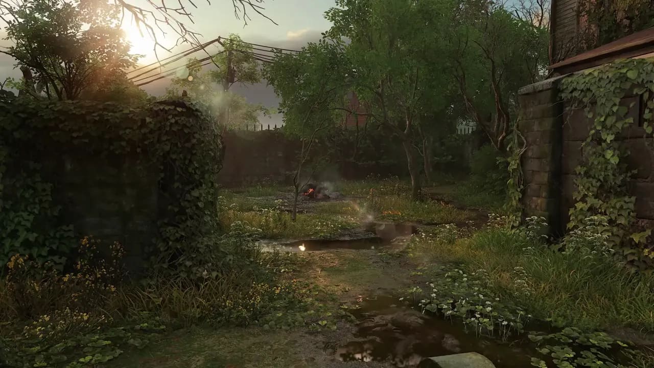 Background for Last of Us Montage