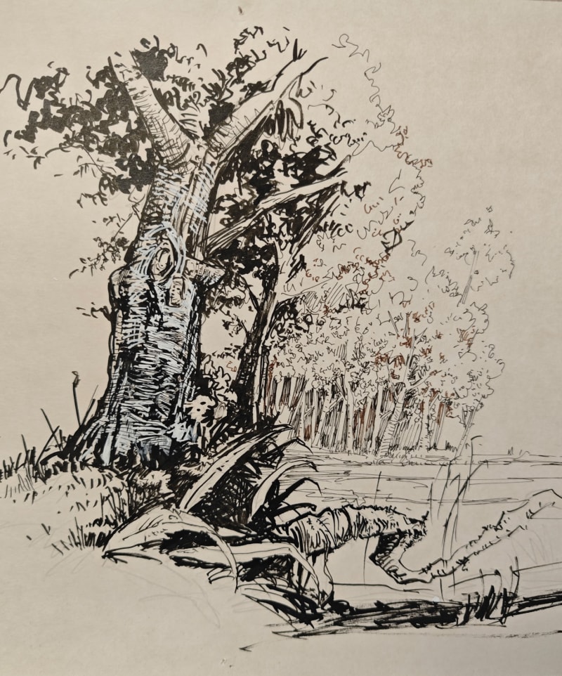 Paysage BD