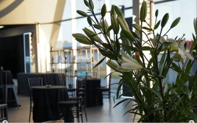 Lanzamiento Audi A5 — Jess Design