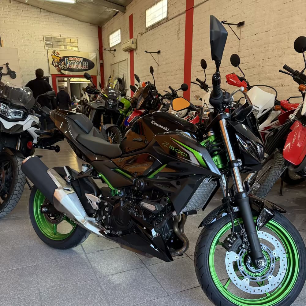 Z500 SE ABS - Miniatura 5