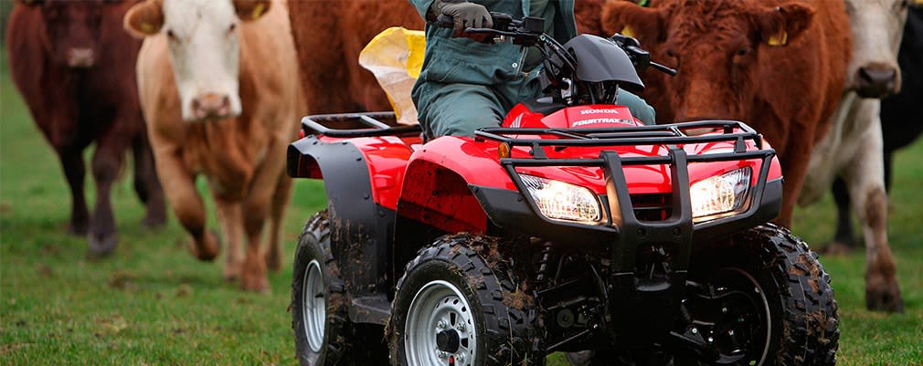 TRX250 (quad) - Miniatura 2