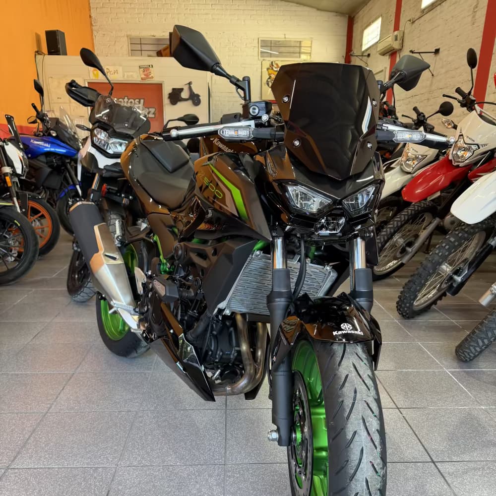 Z500 SE ABS - Miniatura 2