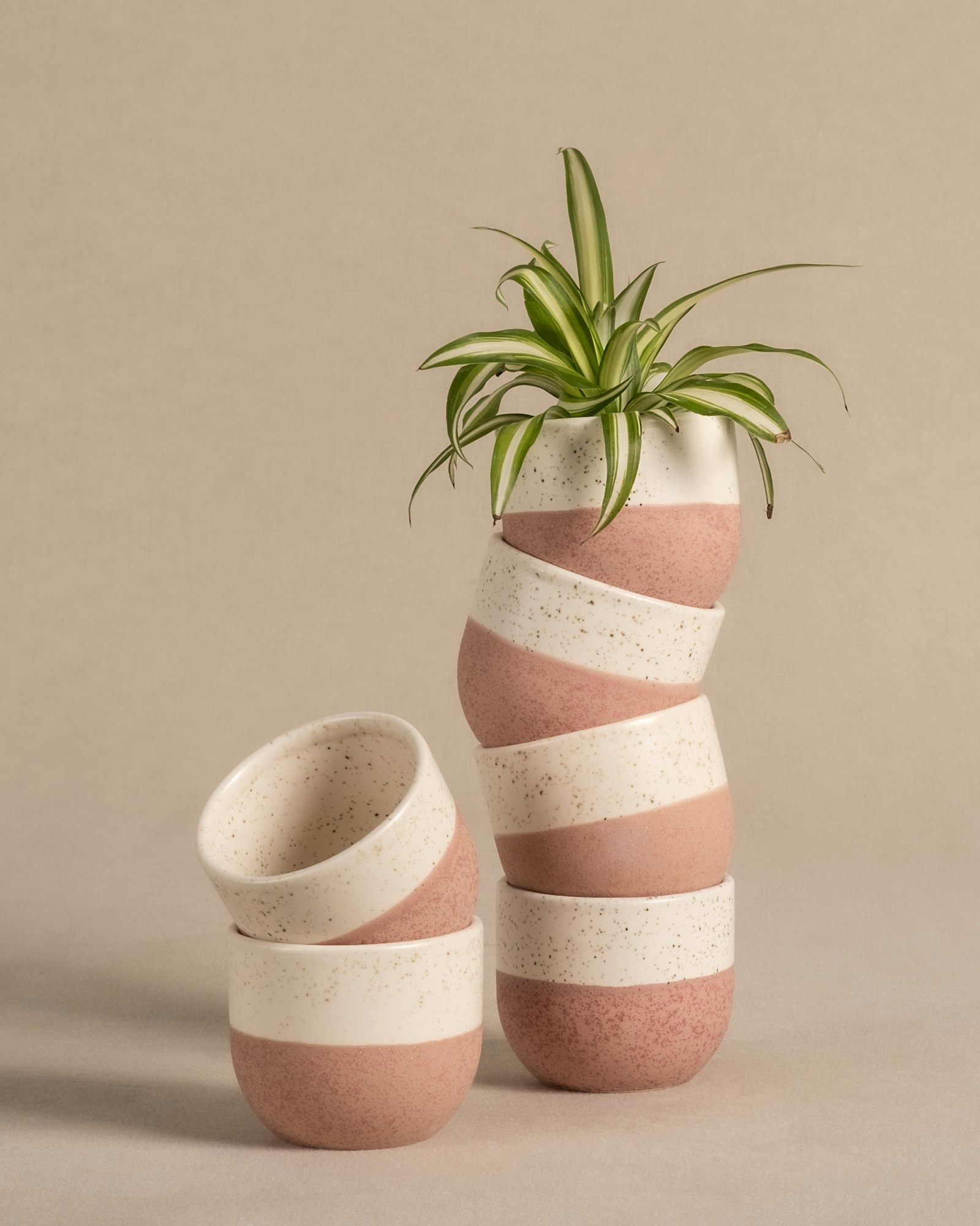 Brote & Barro — foto 3