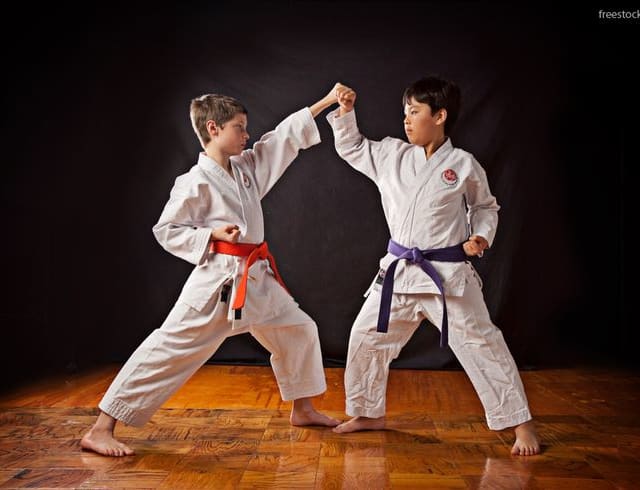 Kids Karate Program