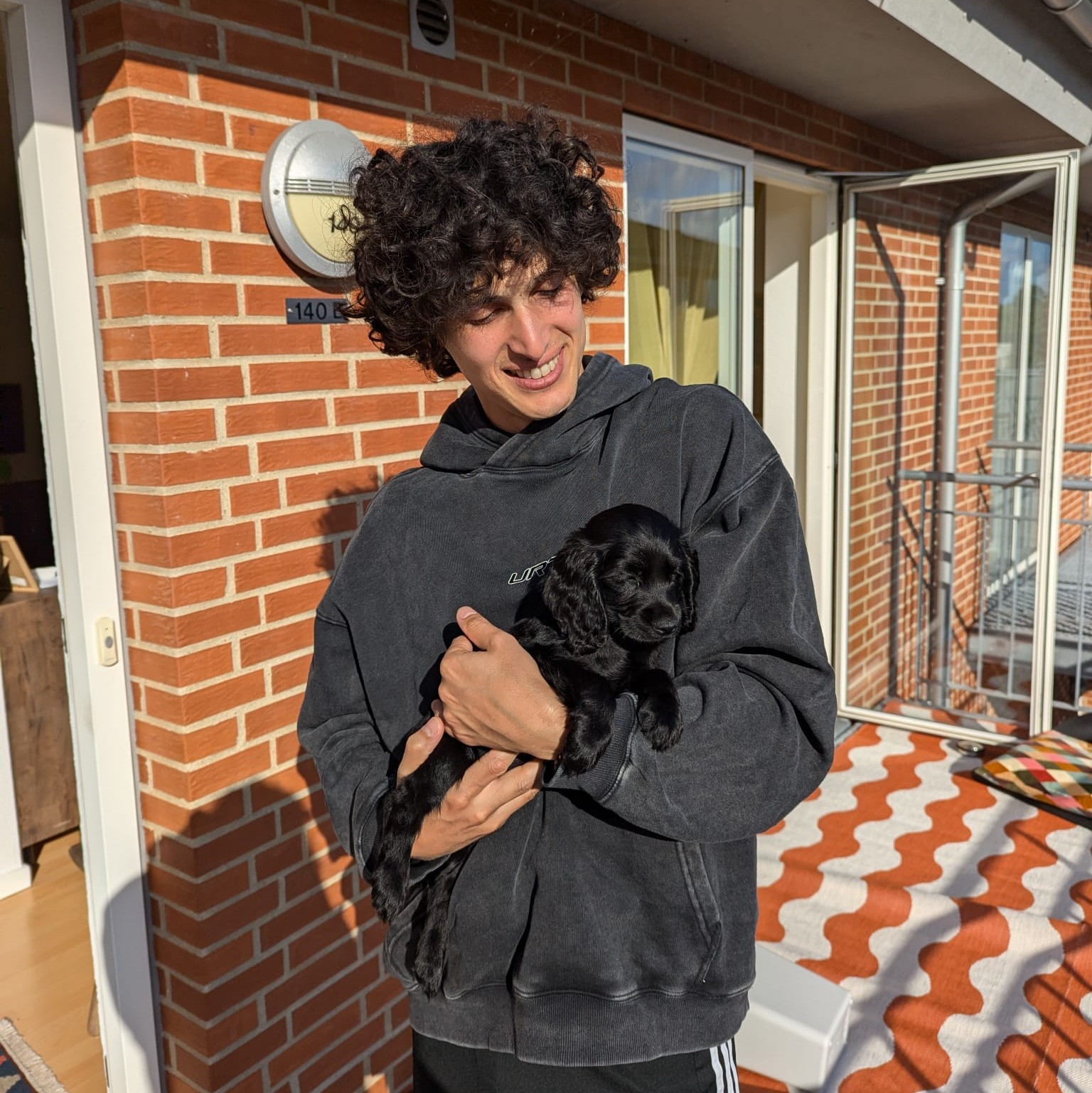 Dog 7