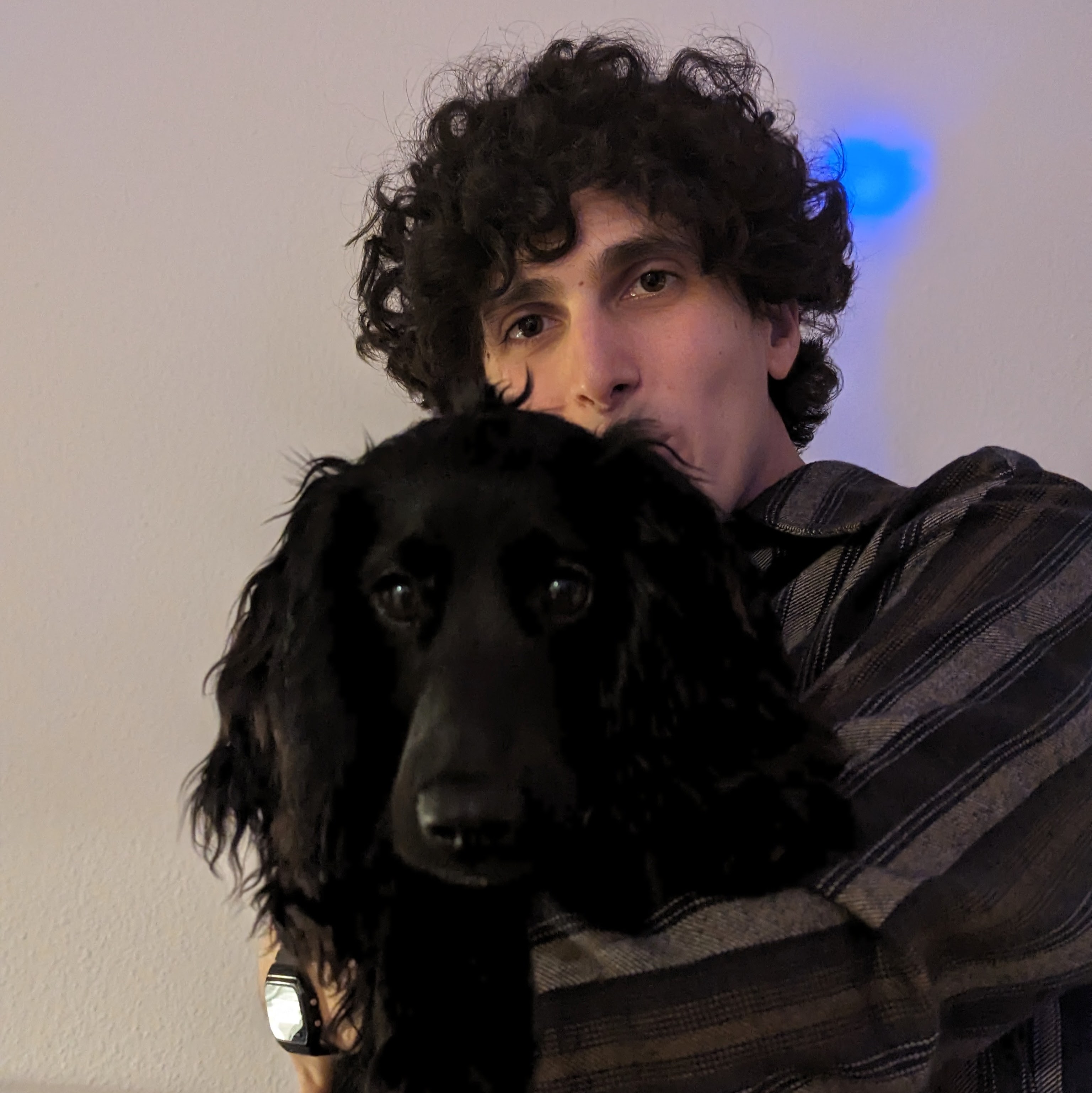 Dog 8