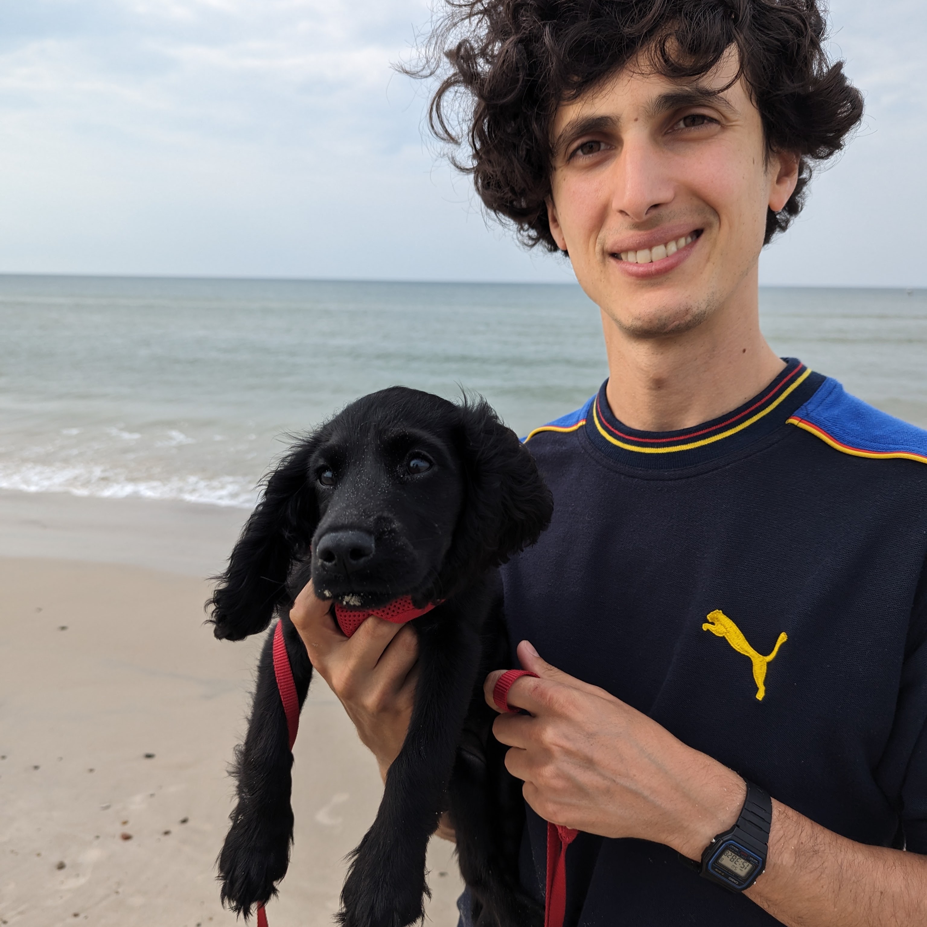Dog 8