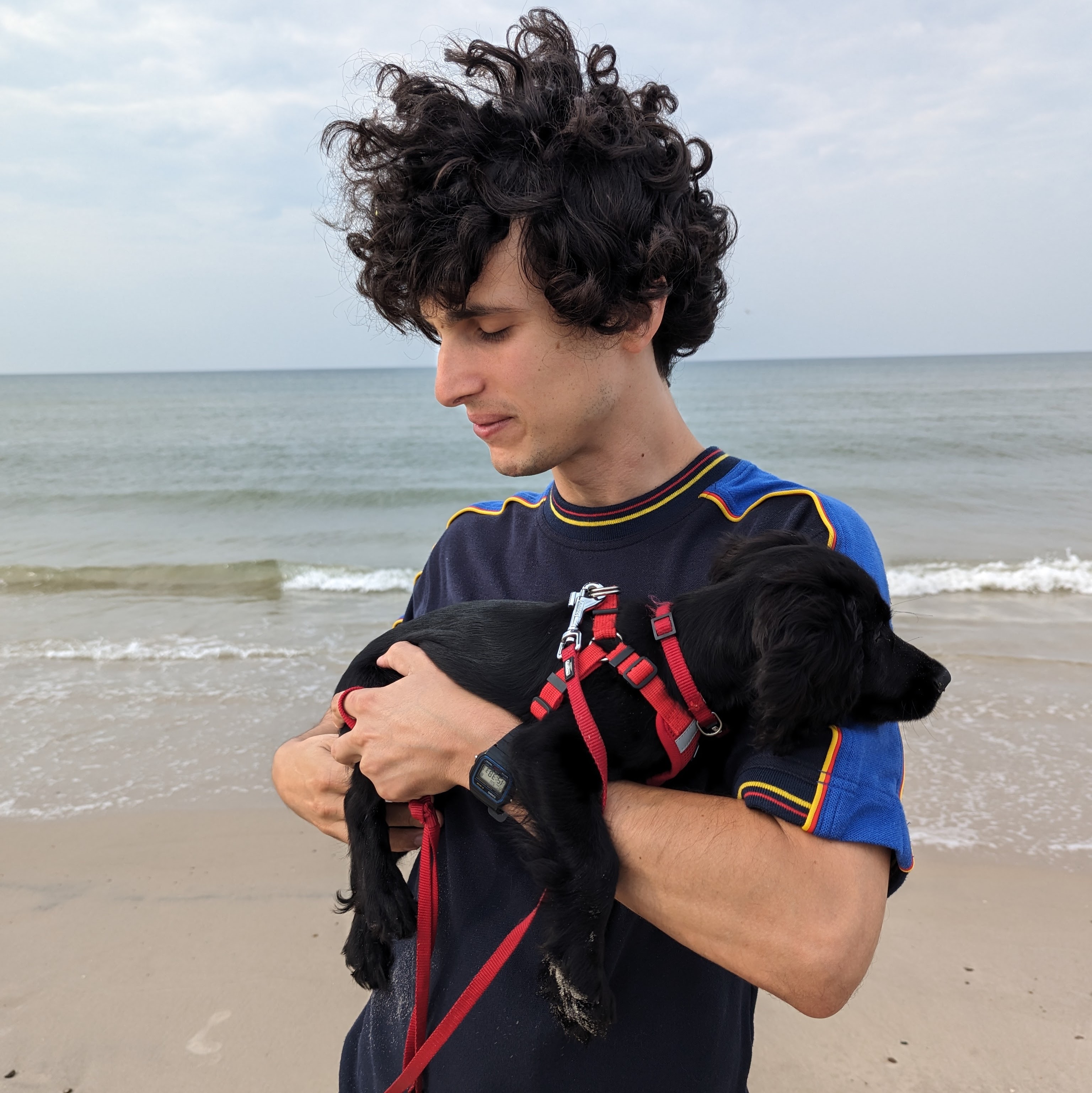 Dog 9