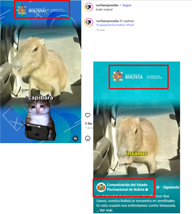 Capibara informativo