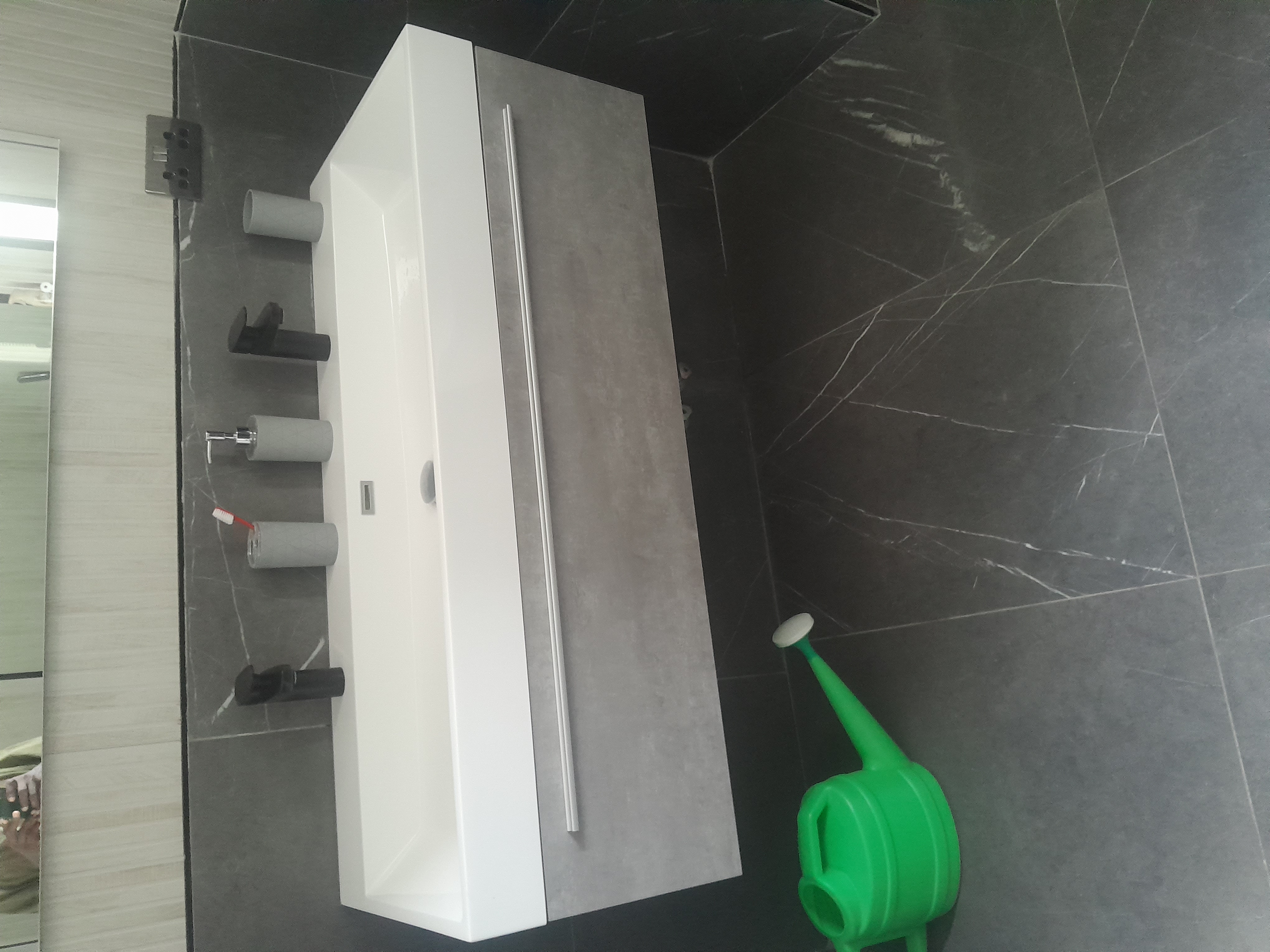 double basin